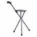 Walking Stick Seat Single 34-1/4 H Storm