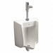 Siphon Jet Urinal  Automatic FlushValve