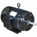 Motor 10 hp 208-230/460V AC 3 Phase