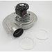 Induced Motor Assembly 115V