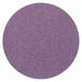 J2750 Hook-and-Loop Sanding Disc 5 in Dia PK50