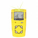 Single Gas Detector Hydrogen Sulfide Ylw