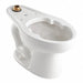 BedpanHolding ToiletBowl Elongated Floor