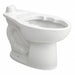 BedpanHolding ToiletBowl Elongated Floor