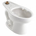 BedpanHolding ToiletBowl Elongated Floor