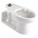 BedpanHolding ToiletBowl Elongated Floor