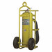 Wheeled Fire Extinguisher ABC Green