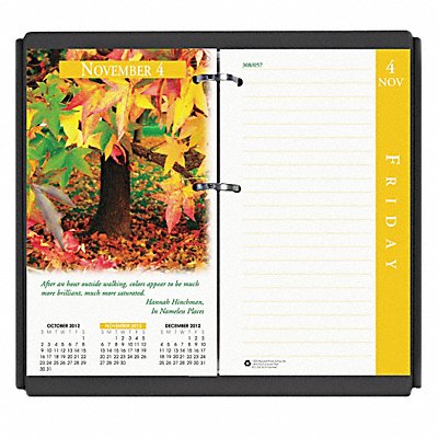 Calendar Refill Daily 3-1/2 x6 In Nature