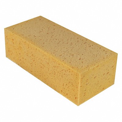 Sponge Yellow