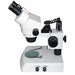 Stereo Zoom Microscope