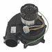 Blower w/Gasket 120V Induced Draft