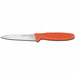 Paring Knife