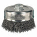 Crimped Wire Cup Brush 2-3/4 in SS