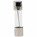 Fuse 8A 125VAC 20 mm L PK100