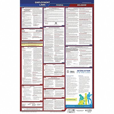 LaborLaw Poster Fed/STA DE ENG 26inH 3yr