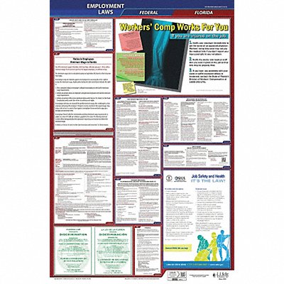 LaborLaw Poster Fed/STA FL ENG 26inH 3yr