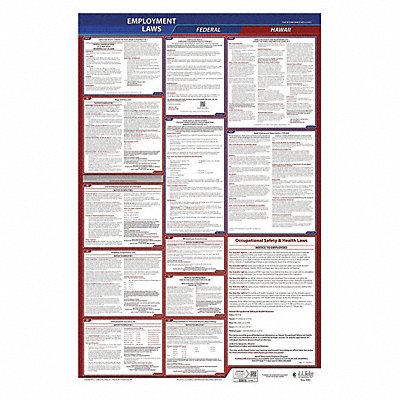 LaborLaw Poster Fed/STA HI ENG 26inH 1yr