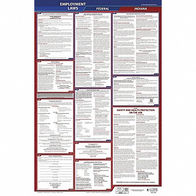 LaborLaw Poster Fed/STA IN ENG 26inH 1yr