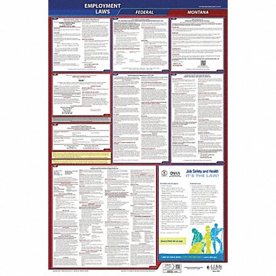 LaborLaw Poster Fed/STA MT ENG 26inH 3yr