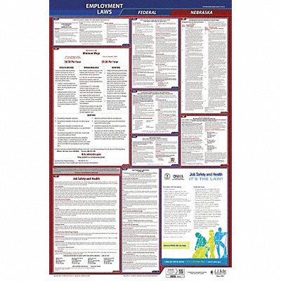 LaborLaw Poster Fed/STA NE ENG 40Wx26inH