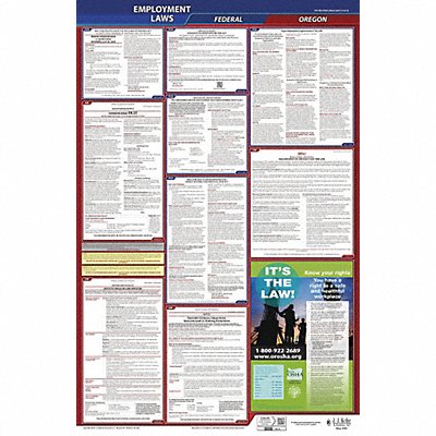 LaborLaw Poster Fed/STA OR ENG 40Wx26inH
