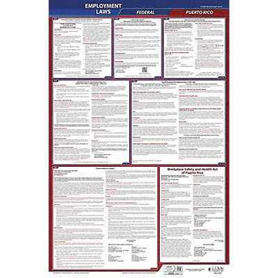 LaborLaw Poster Fed/STA PR ENG 26inH 1yr