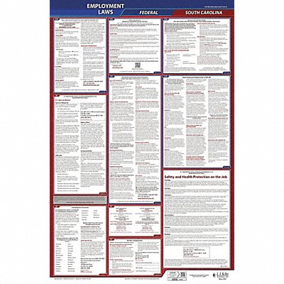 LaborLaw Poster Fed/STA SC ENG 26inH 1yr
