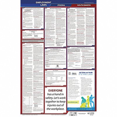 LaborLaw Poster Fed/STA SD ENG 40Wx26inH