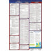 Labor Law Poster Fed/STA AL SP 26inH 1yr