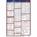 Labor Law Poster Fed/STA AZ SP 26inH 1yr