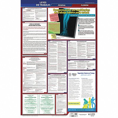 Labor Law Poster Fed/STA FL SP 26inH 1yr