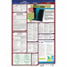 Labor Law Poster Fed/STA FL SP 26inH 1yr
