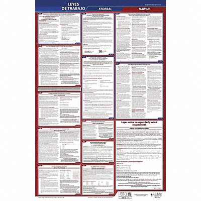 Labor Law Poster Fed/STA HI SP 26inH 1yr
