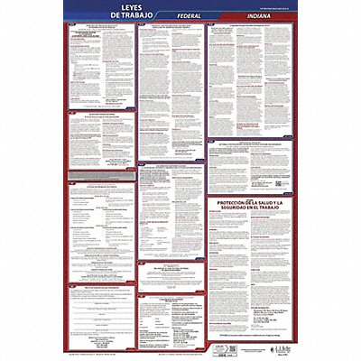 Labor Law Poster Fed/STA IN SP 26inH 3yr