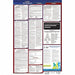 Labor Law Poster Fed/STA KS SP 26inH 1yr