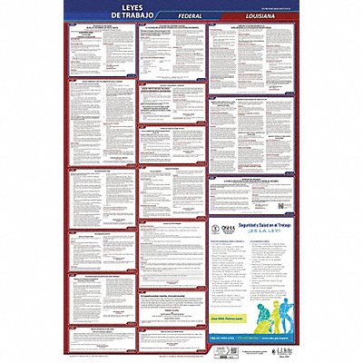 Labor Law Poster Fed/STA LA SP 26inH 3yr