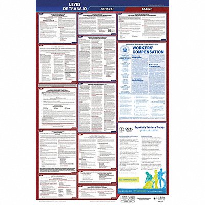 Labor Law Poster Fed/STA ME SP 40Wx26inH