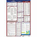 Labor Law Poster Fed/STA NE SP 26inH 3yr
