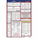 Labor Law Poster Fed/STA NM SP 40Wx26inH