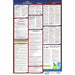 Labor Law Poster Fed/STA OH SP 26inH 3yr