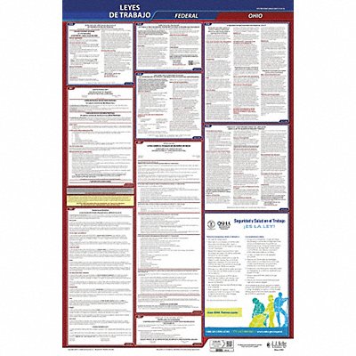 Labor Law Poster Fed/STA OH SP 26inH 1yr