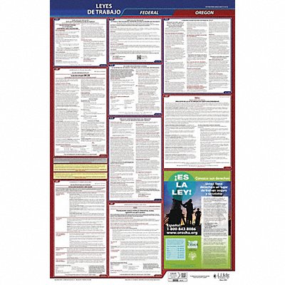 Labor Law Poster Fed/STA OR SP 26inH 1yr