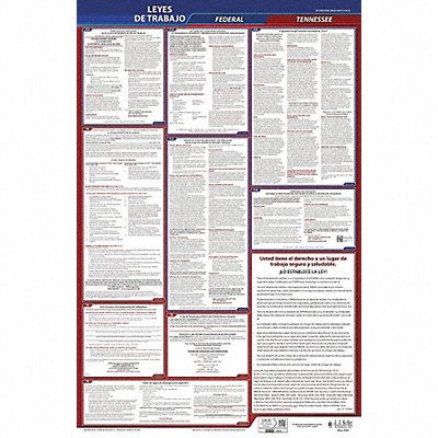 Labor Law Poster Fed/STA TN SP 26inH 1yr