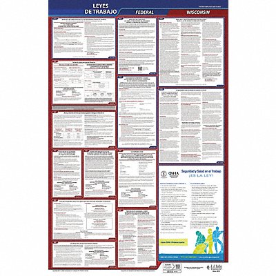 Labor Law Poster Fed/STA WI SP 26inH 1yr