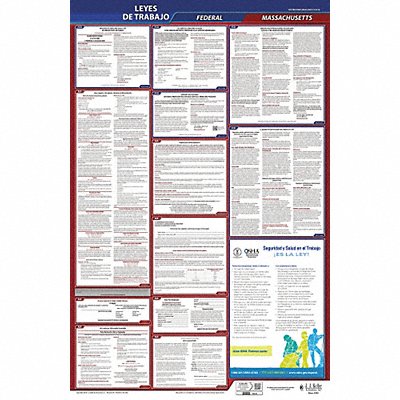 Labor Law Poster Fed/STA MA SP 26inH 3yr