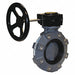 Butterfly Valve GFPP FPM 3in Gear Lug