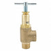 Bypass Control Relief Valve 250 psi