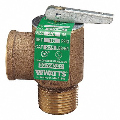 Steam Safety Relief Valve 2-3/4 in.