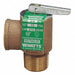 Steam Safety Relief Valve 2-3/4 in.