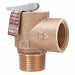 Steam Safety Relief Valve 2-13/16 in.